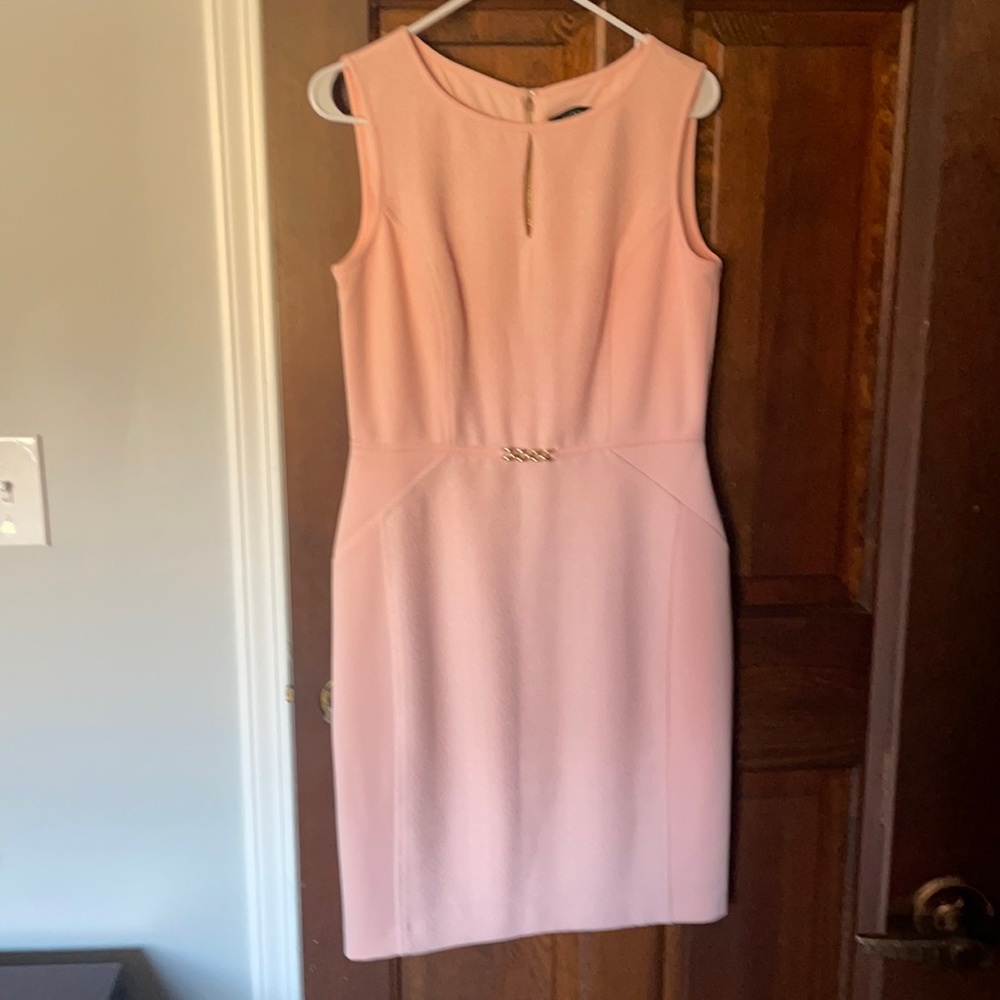 Pink Ellen Tracy dress